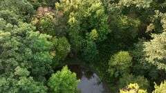 NEY, OH LAND AUCTION