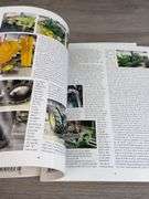 Two-Cylinder & Green Magazines, 2015-2022