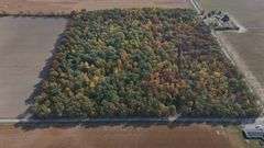 LOT 2: WOODED 5.0+/- ACRES ON CO. RD. 18, BRYAN, OH 43506