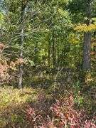 LOT 5: WOODED 20.0+/- ACRES ON CO. RD. A, BRYAN, OH 43506