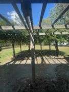 NEY, OH LAND AUCTION