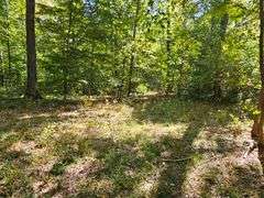 LOT 3: WOODED 5.0+/- ACRES ON CO. RD. 18, BRYAN, OH 43506
