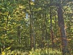 LOT 3: WOODED 5.0+/- ACRES ON CO. RD. 18, BRYAN, OH 43506