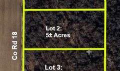 LOT 2: WOODED 5.0+/- ACRES ON CO. RD. 18, BRYAN, OH 43506