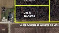 LOT 4: WOODED 5.0+/- ACRES ON CO. RD. 18, BRYAN, OH 43506