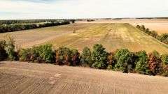 Tract 4: 40.59± acres