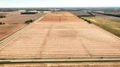 Tract 2: 40.61± acres