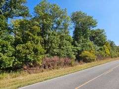 LOT 5: WOODED 20.0+/- ACRES ON CO. RD. A, BRYAN, OH 43506