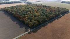 LOT 2: WOODED 5.0+/- ACRES ON CO. RD. 18, BRYAN, OH 43506