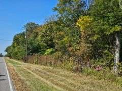 LOT 5: WOODED 20.0+/- ACRES ON CO. RD. A, BRYAN, OH 43506