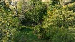 3.0± acres - Potential Building Lot