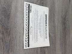 Minneapolis Moline G750 MFD Duals ROPS, 1/16, 1994 NFTS