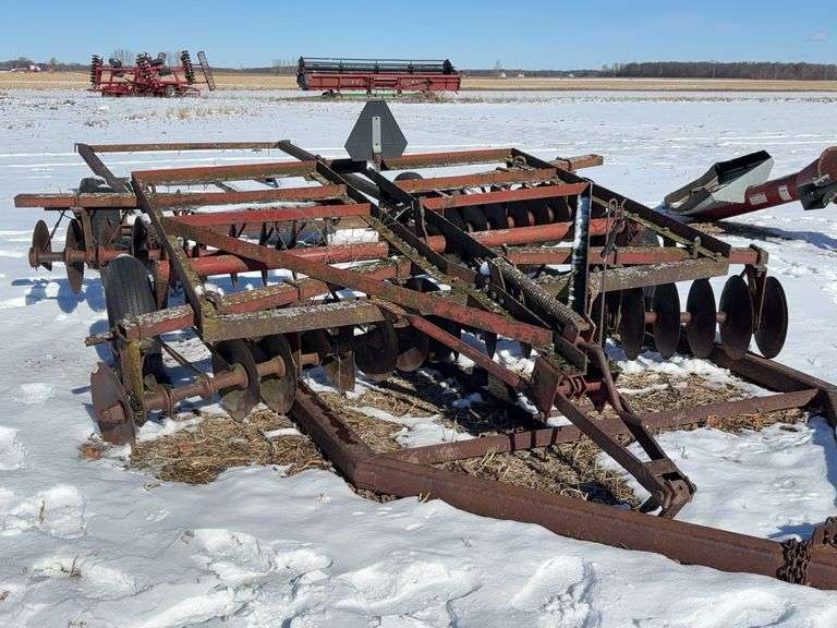 10ft International Disk