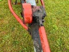 Cardinal Auger