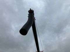 Cardinal Auger