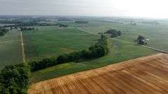 NW OHIO FARMLAND AUCTION - 71.6± acres