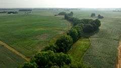 NW OHIO FARMLAND AUCTION - 71.6± acres
