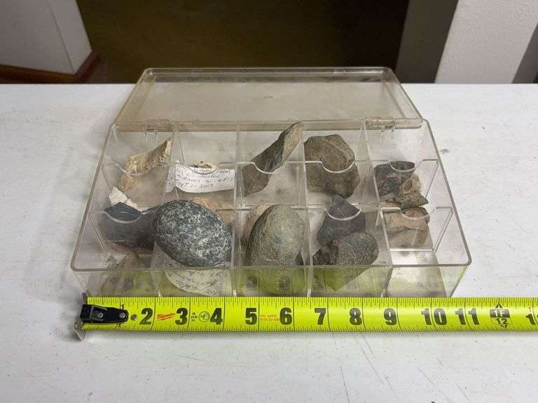 Collectible Rock Assortment with Compartment Organizer