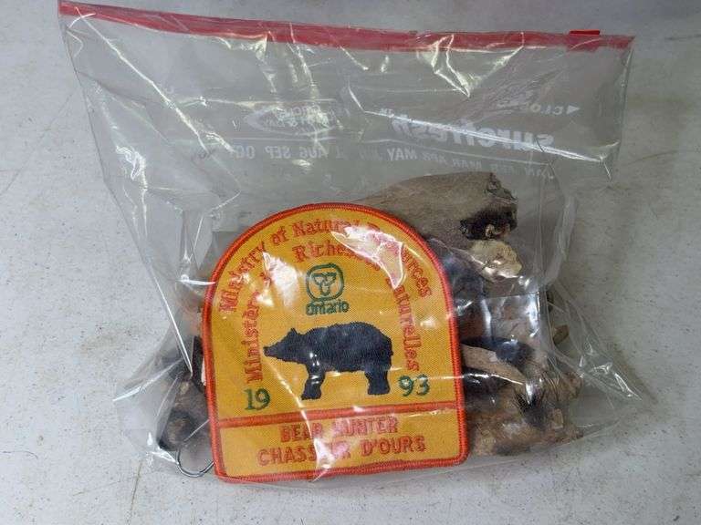 Taxidermy Bear Skull with 1993 Bear Hunter Patch