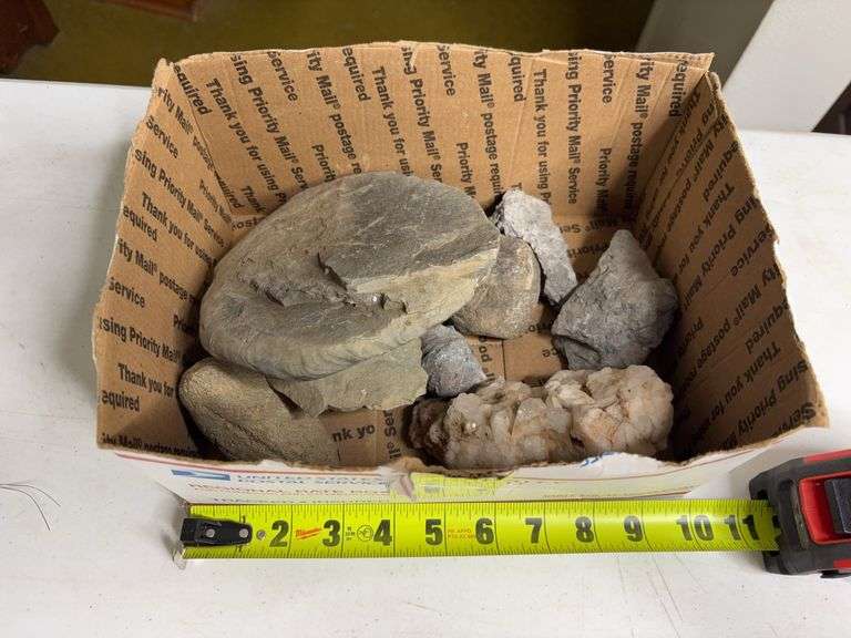 Collectible Rock and Geological Specimen Assortment