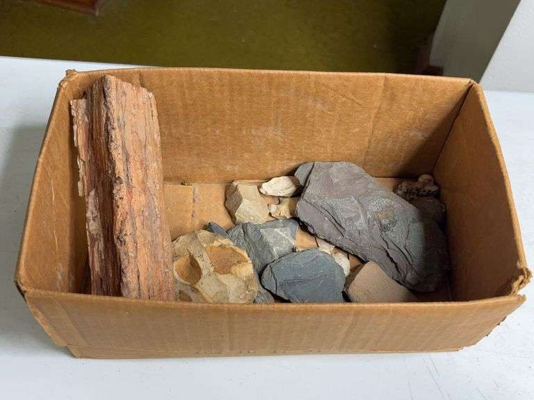 Lot Of Petrified Wood And Stone Fragments