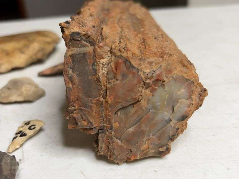 Lot Of Petrified Wood And Stone Fragments