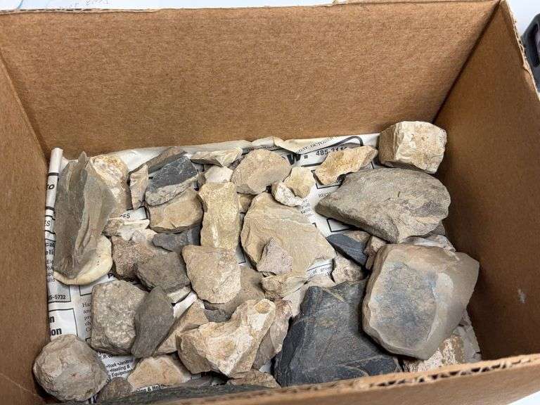 Collectible Assortment of Rocks and Chip Samples