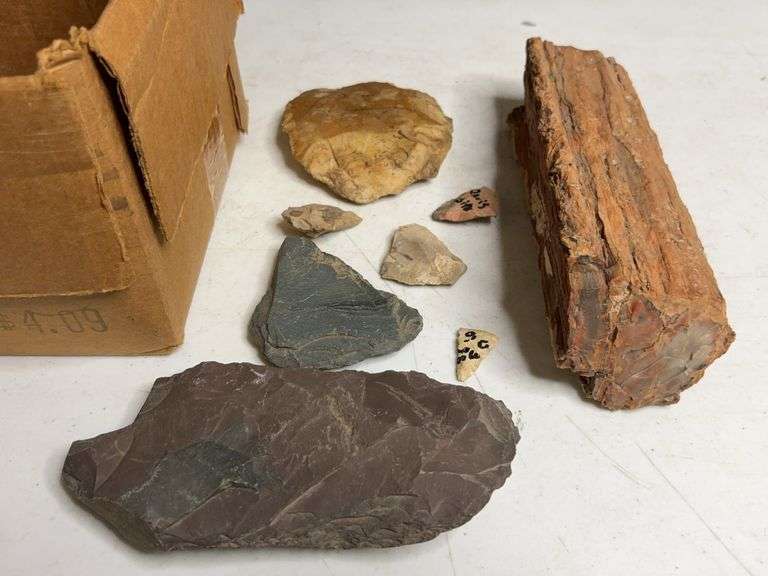 Lot Of Petrified Wood And Stone Fragments