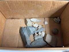 Lot Of Petrified Wood And Stone Fragments