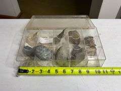 Collectible Rock Assortment with Compartment Organizer