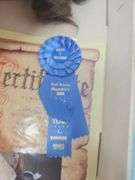 1990 Lissi Doll,  Doty Award Winner