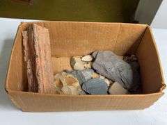 Lot Of Petrified Wood And Stone Fragments