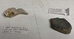 Collectible Rock and Arrowhead Assortment