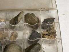 Collectible Rock Assortment with Compartment Organizer