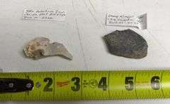 Collectible Rock and Arrowhead Assortment