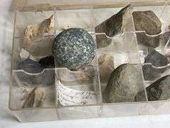 Collectible Rock Assortment with Compartment Organizer