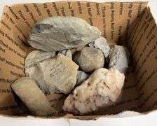 Collectible Rock and Geological Specimen Assortment