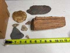 Lot Of Petrified Wood And Stone Fragments