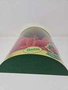 1993 Happy Holidays Barbie & Hallmark Ornament