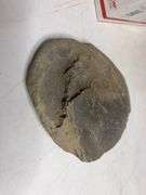 Collectible Rock and Geological Specimen Assortment