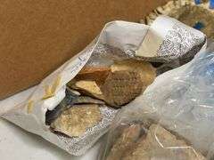 Collectible Assortment of Rocks and Chip Samples