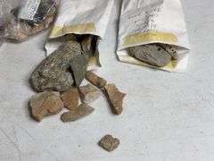 Collectible Assortment of Rocks and Chip Samples