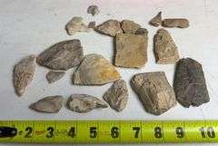 Collectible Rock and Arrowhead Assortment