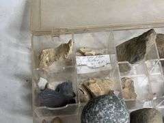 Collectible Rock Assortment with Compartment Organizer