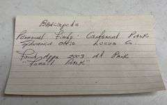 Tray Lot Of Fossil Brachiopod Shells