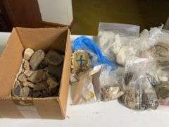 Collectible Assortment of Rocks and Chip Samples