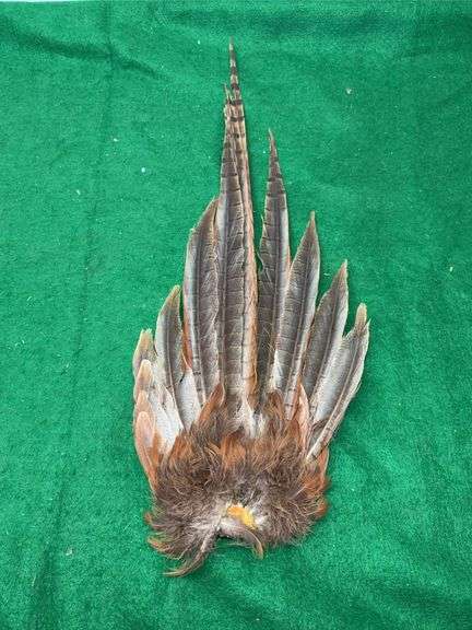 22" Ringneck Pheasant Feather Tail Clump