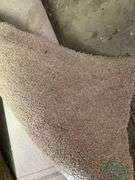 10 rolls of carpet Reminence