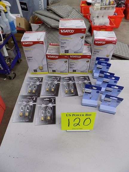 Assorted Incandescent Light Bulbs