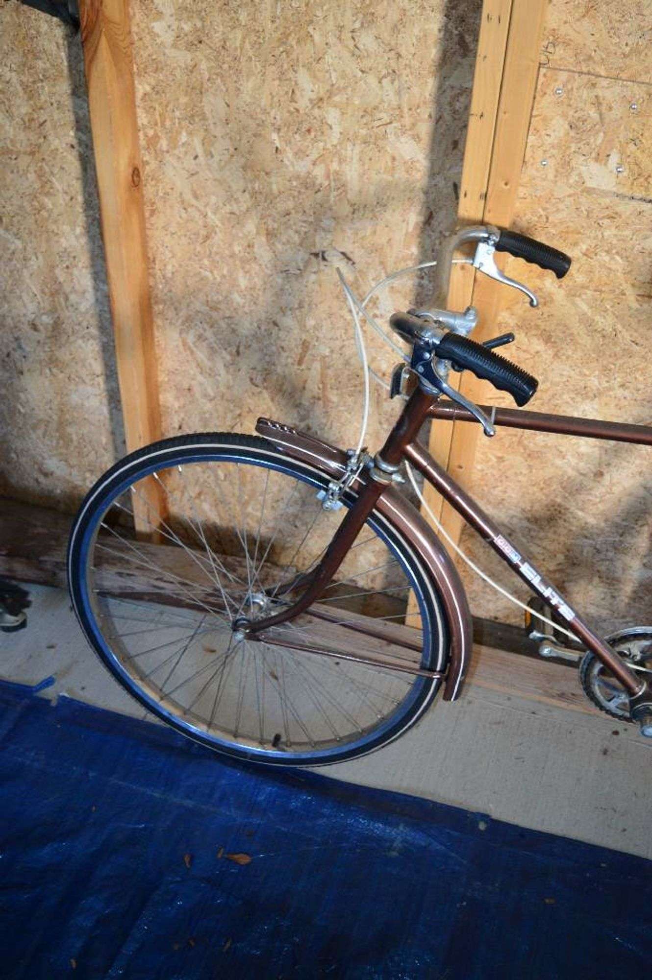 Hot ccm elite bike Free Shipping